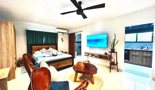 Studio with Sea View