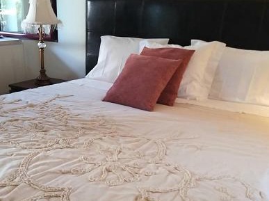 Deluxe Double or Twin Room with Garden View