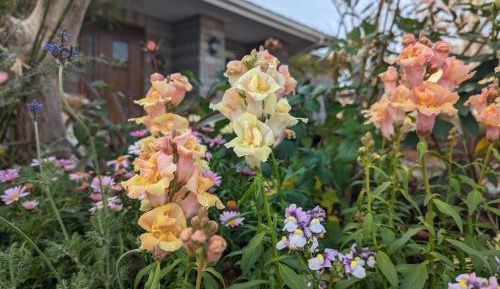 Deluxe Double or Twin Room with Garden View