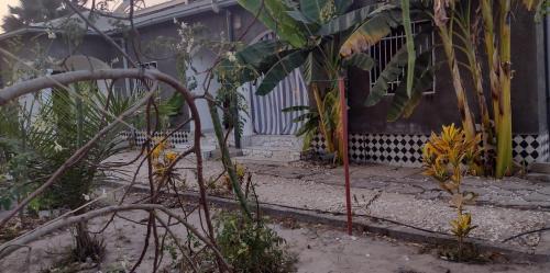 Double Room with Patio