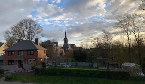 Single Room with Garden View