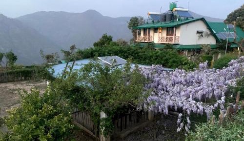 Bungalow with Garden View
