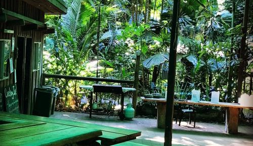 Jungle Double or Twin Room with Shared Bathroom