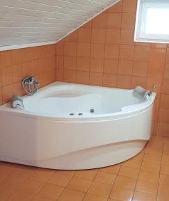  One-Bedroom Apartment  (3 Adults)