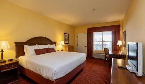 King Room - Not Pet Friendly 