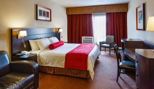 Premium Queen Room with sofa bed