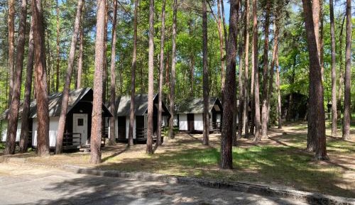 One-Bedroom Chalet