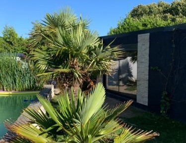 Deluxe Room (2 Adults + 1 Child)