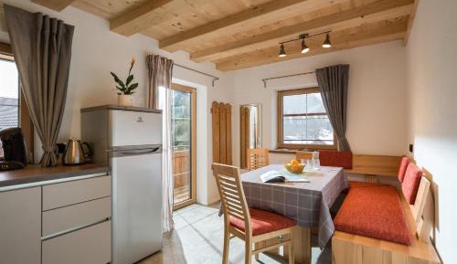 One-Bedroom Apartment with Shower