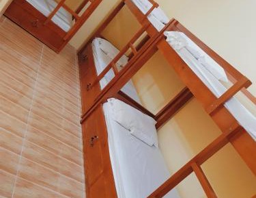 Bunk Bed in Mixed Dormitory Room
