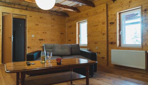 Family Room with Sauna