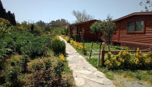 Apartment with Garden View