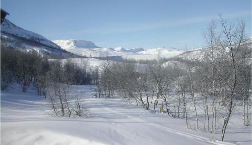 Three-Bedroom Holiday Home 
