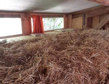 10-Bed Mixed Dormitory Room