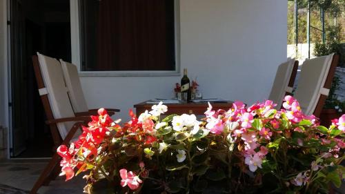 One-Bedroom Apartment with Terrace