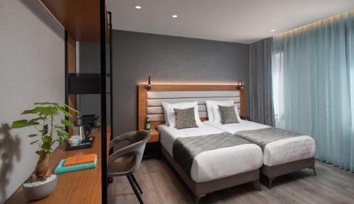 Deluxe Double or Twin Room