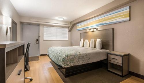 Studio King Room Non-Smoking