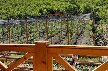 Twin Room with Balcony