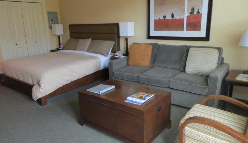 Studio Suite with Mountain View