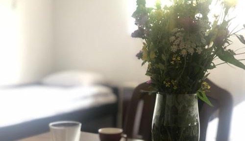 Studio with Garden View