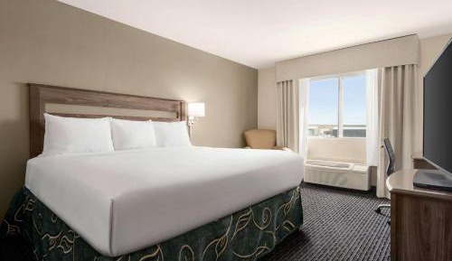 King Room - Non-Smoking