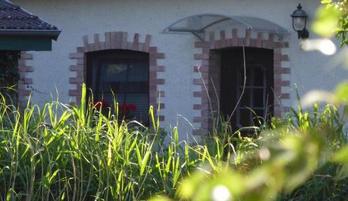 Studio with Garden View