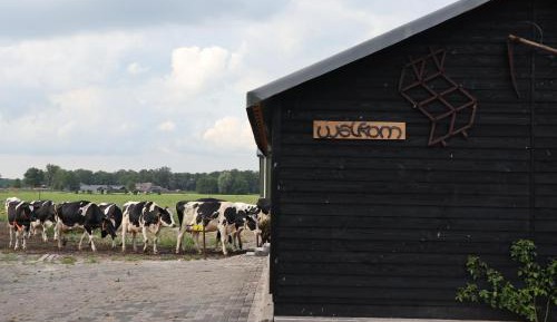 Two-Bedroom farmer's lodge Hofstay 195