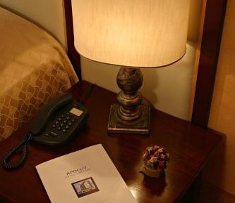 Superior Double or Twin Room