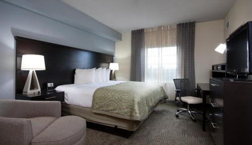 One-Bedroom King Suite