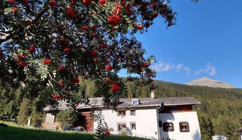 Apartment with Mountain View