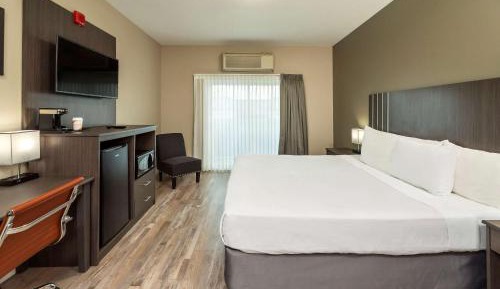 King Room - Non-Smoking