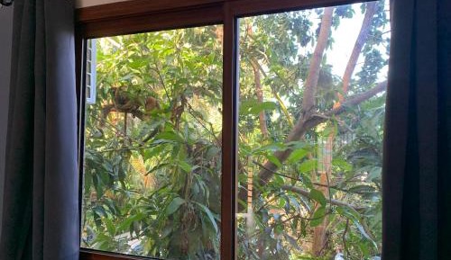 Apartment with Garden View