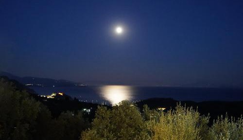 Superior Suite with Sea View