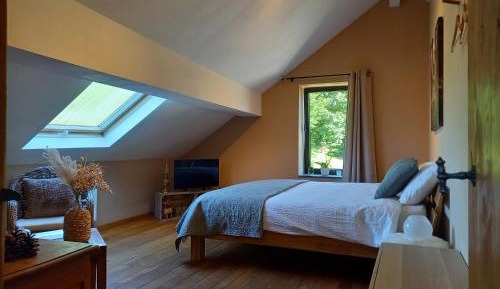 King Room with Garden View