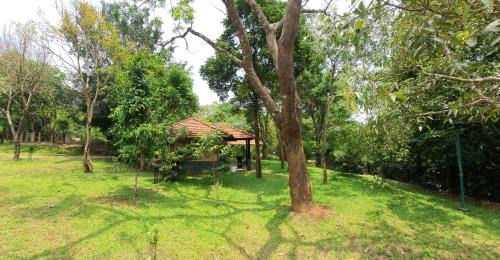 One-Bedroom Cottage