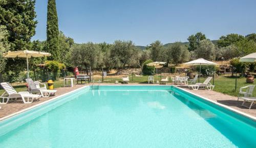 Superior One-Bedroom Apartment