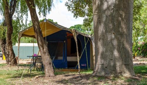 Station Tent - Queen