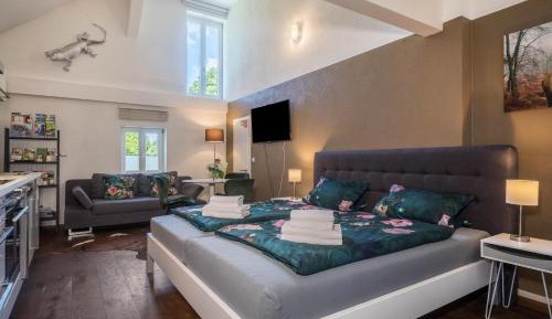 Superior One-Bedroom Apartment