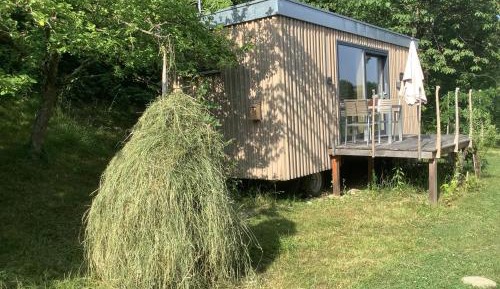 Mobile Home