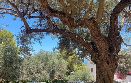 Triple Room with Sea View