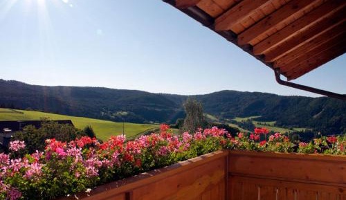 Superior One-Bedroom Apartment with Balcony