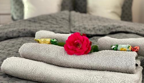 Apartment - Split Level