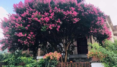 Apartment with Terrace