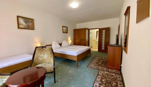 Basic Triple Room