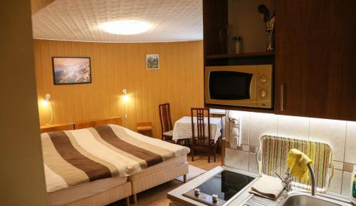 Studio with Garden View