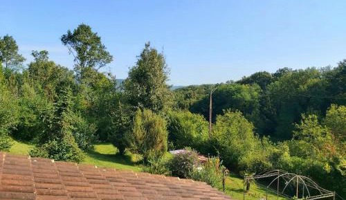 Deluxe Double or Twin Room with Mountain View