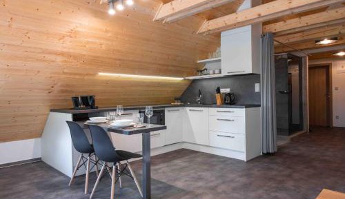 Penthouse Apartment