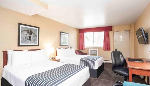 Standard Room, 2 Double Beds