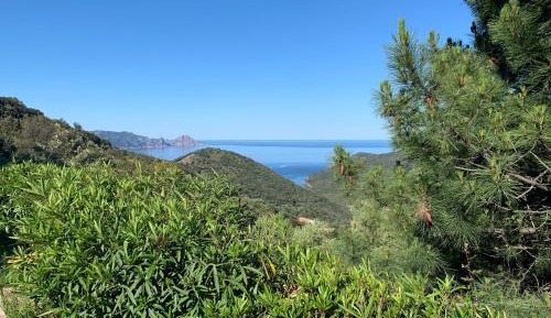 Studio  (2 Adults) with Sea View