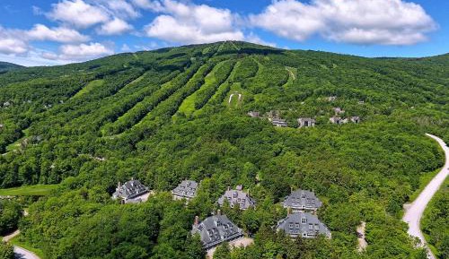 Three Bedroom Apartment